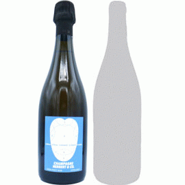 【お一人様1セットまで】1000%・ピノ・ノワール[2021]エルベール(1本＋他1本)合計2本セット【フランス　シャンパーニュ　自然派　泡白】