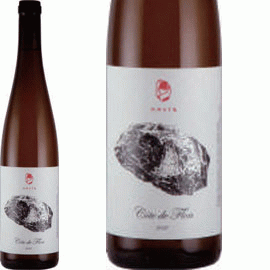 【3月3日から発送】コート・ド・フロン[2023]ヴァイングート・ヴェルナー【ドイツ　ラインヘッセン　自然派　白ワイン】