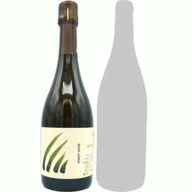 【5アイテム中どちらか1セットまで】レ・ゾート・マラドリ[2021]アンス(1本＋他1本)合計2本セット【フランス　シャンパーニュ　白　泡】