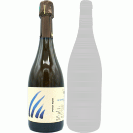 【5アイテム中どちらか1セットまで】ル・ノワイエ・ド・ロルム・デュ・ノール[2021]アンス(1本＋他1本)合計2本セット【フランス　シャンパーニュ　白　泡】