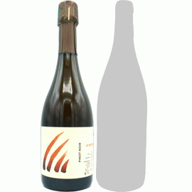 【5アイテム中どちらか1セットまで】ル・ノワイエ・ド・ロルム・デュ・ミディ[2021]アンス(1本＋他1本)合計2本セット【フランス　シャンパーニュ　白　泡】