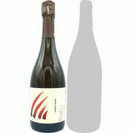 【5アイテム中どちらか1セットまで】ル・ピニョン[2021]アンス(1本＋他1本)合計2本セット【フランス　シャンパーニュ　白　泡】