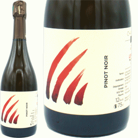 【5アイテム中どちらか1セットまで】ル・ピニョン[2021]アンス(1本＋他1本)合計2本セット【フランス　シャンパーニュ　白　泡】