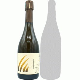 【5アイテム中どちらか1セットまで】レ・クチュール[2021]アンス(1本＋他1本)合計2本セット【フランス　シャンパーニュ　白　泡】