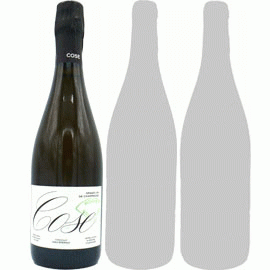 【3月中発送厳守】ノワック VDR R.23[2023]シャンパーニュ・コーズ(1本＋他2本)合計3本セット【フランス　シャンパーニュ　自然派　シャンパン白】