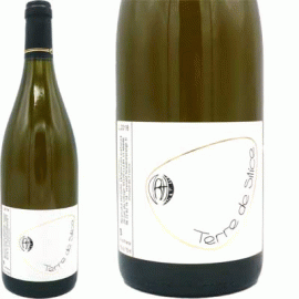 テール・ド・シリス[2021]レイナルド・エオレ【フランス　ロワール　自然派　白ワイン】